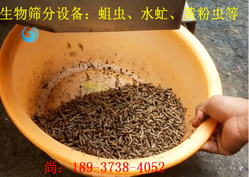 蛆虫筛选3层香港三级片麻豆视频